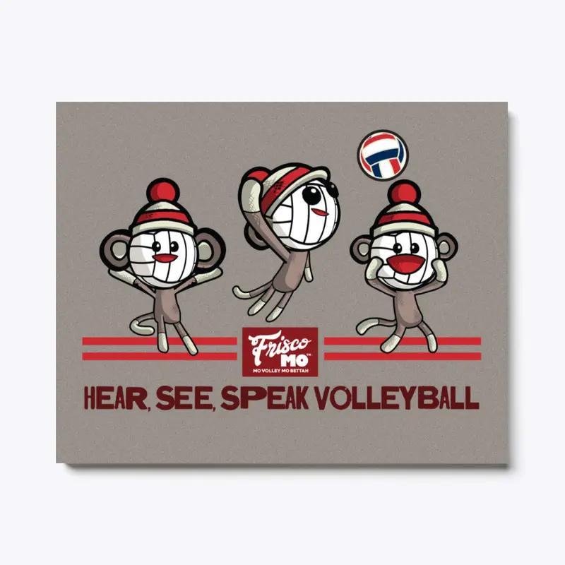 Volleyball Sock Monkey Canvas