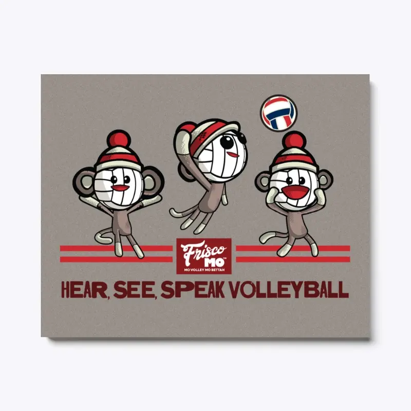 Volleyball Sock Monkey Canvas